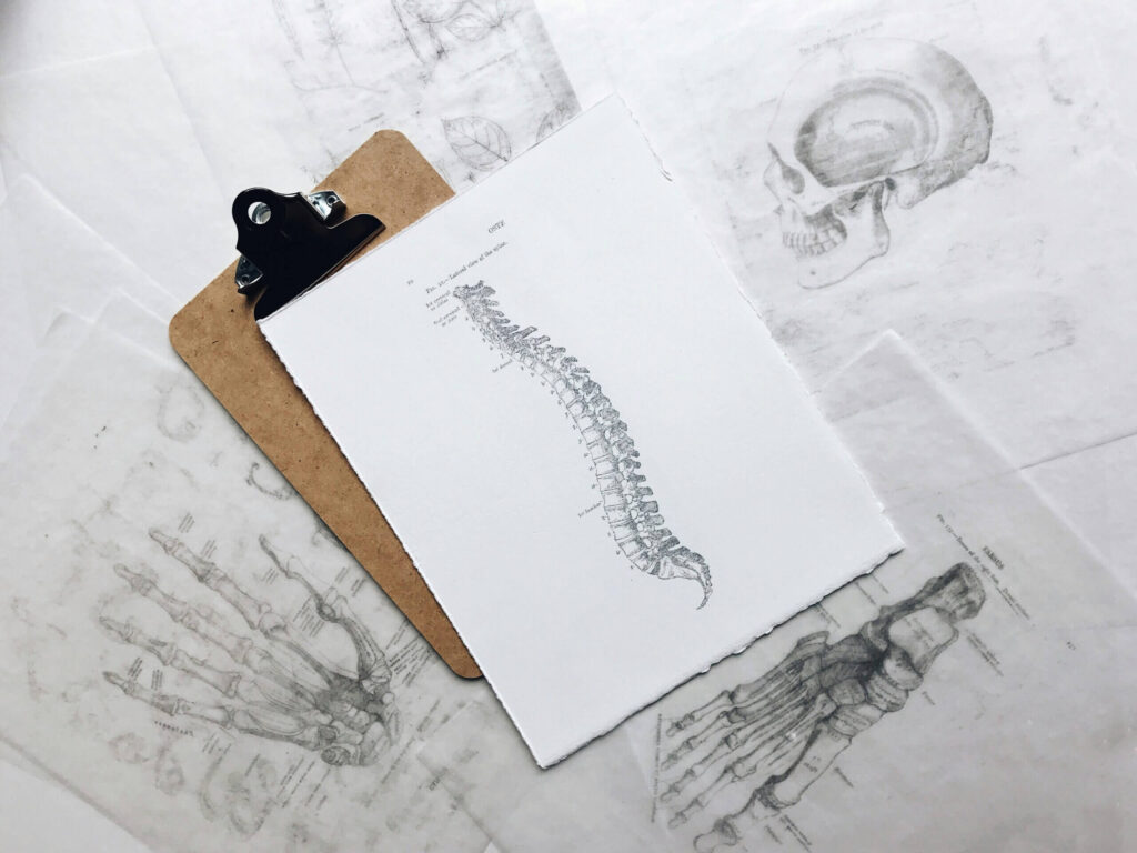 Starke Rückenschmerzen? Ursachen von Rückenschmerzen & Therapie bei Rücken Schmerzen – Hilfe und Hausmittel für nachhaltige Linderung