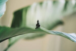 Entspannungsübung bei Stress – Stress wie abbauen?