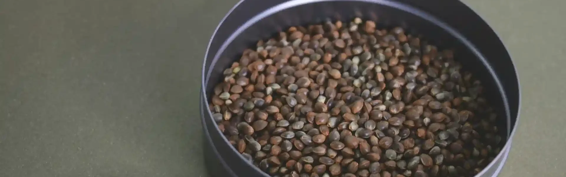 Hanfsalbe gegen Rückenschmerzen