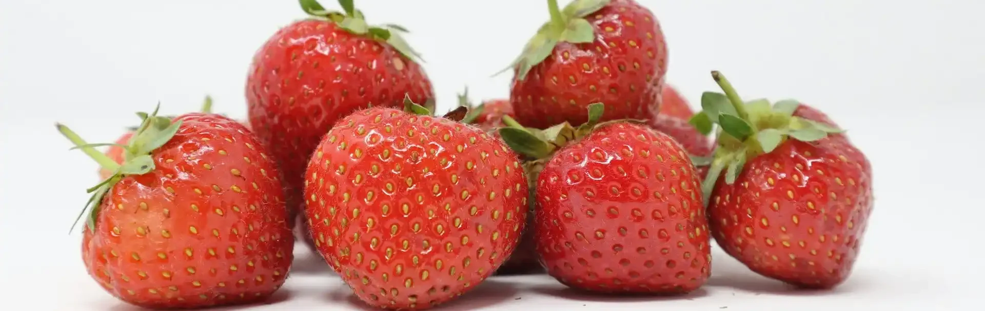 Dürfen Hunde Erdbeeren essen