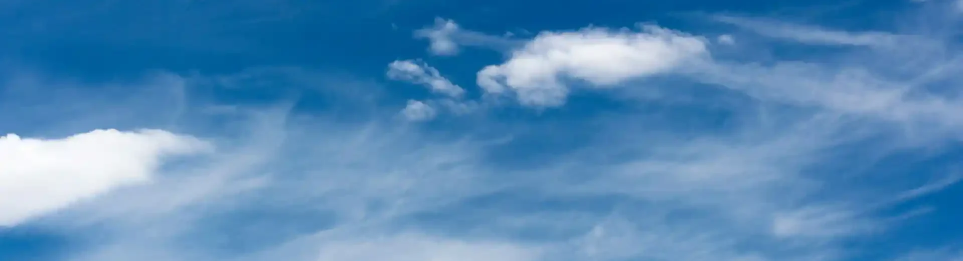 Gedankenkarussell stoppen pflanzlich