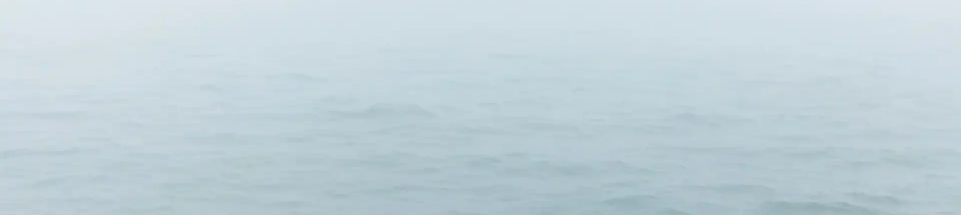 Brain Fog Erfahrungsberichte