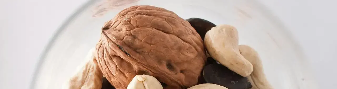 Nahrung fĂŒr die Nerven