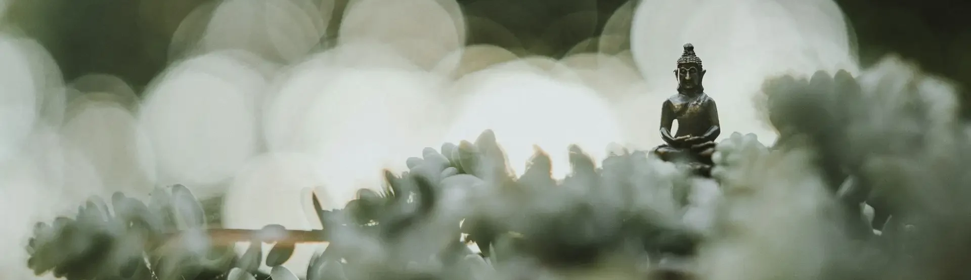 Stressresilienz gegen Belastungen aufbauen