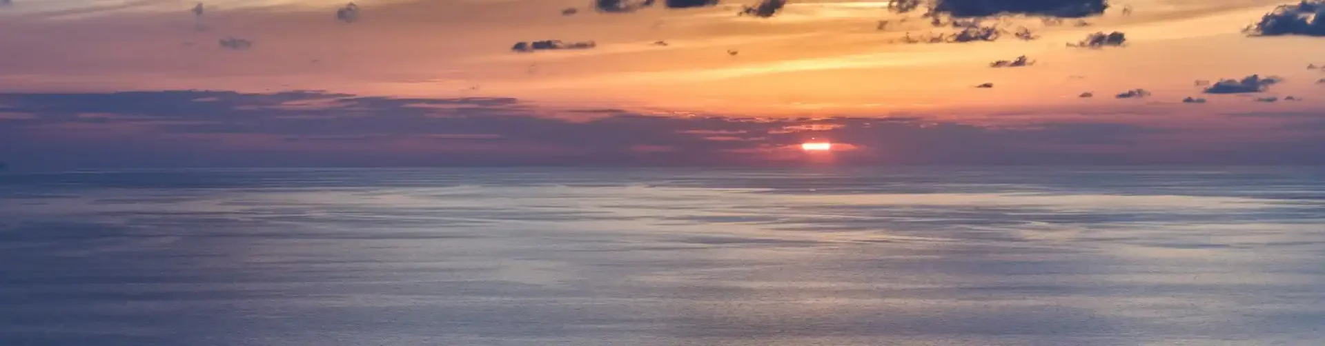 Supplements & Vitamine gegen Panikattacken