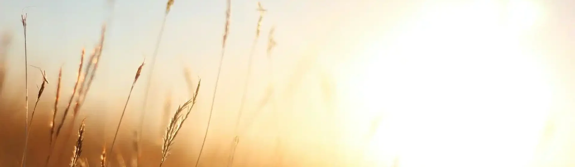 Die Auswirkungen auf die Partnerschaft