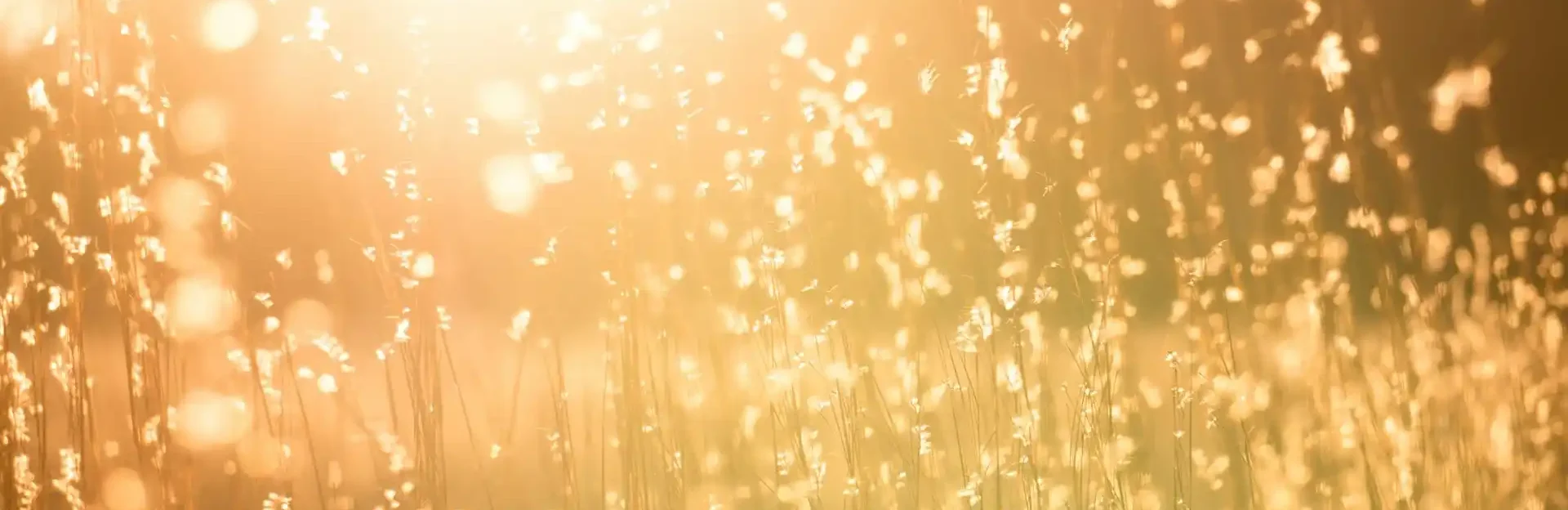 Umgang mit Angststörungen