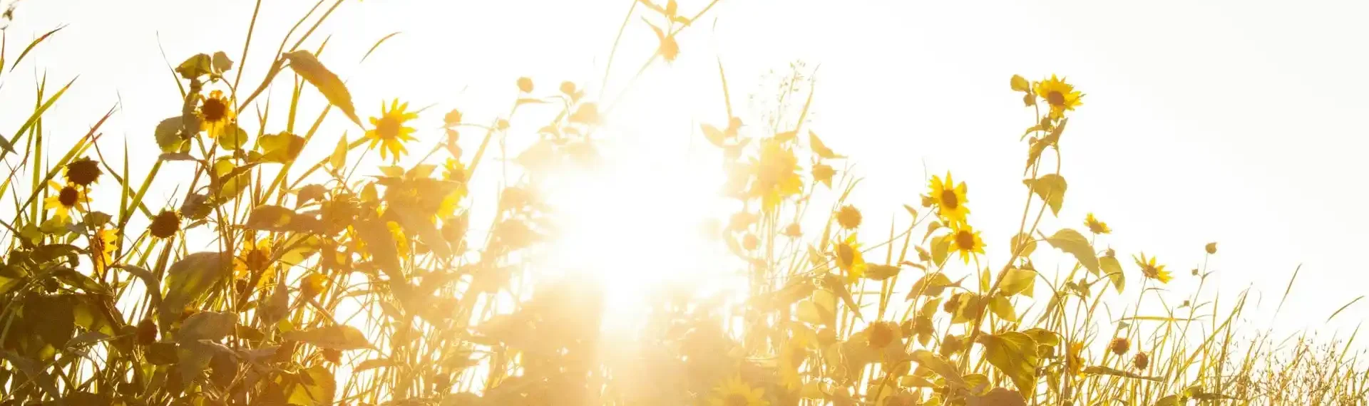 Qualität deiner Beziehung