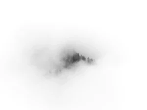 Brain Fog & Hirnnebel - Symptome, Ursache, Behandlung von Gehirnnebel