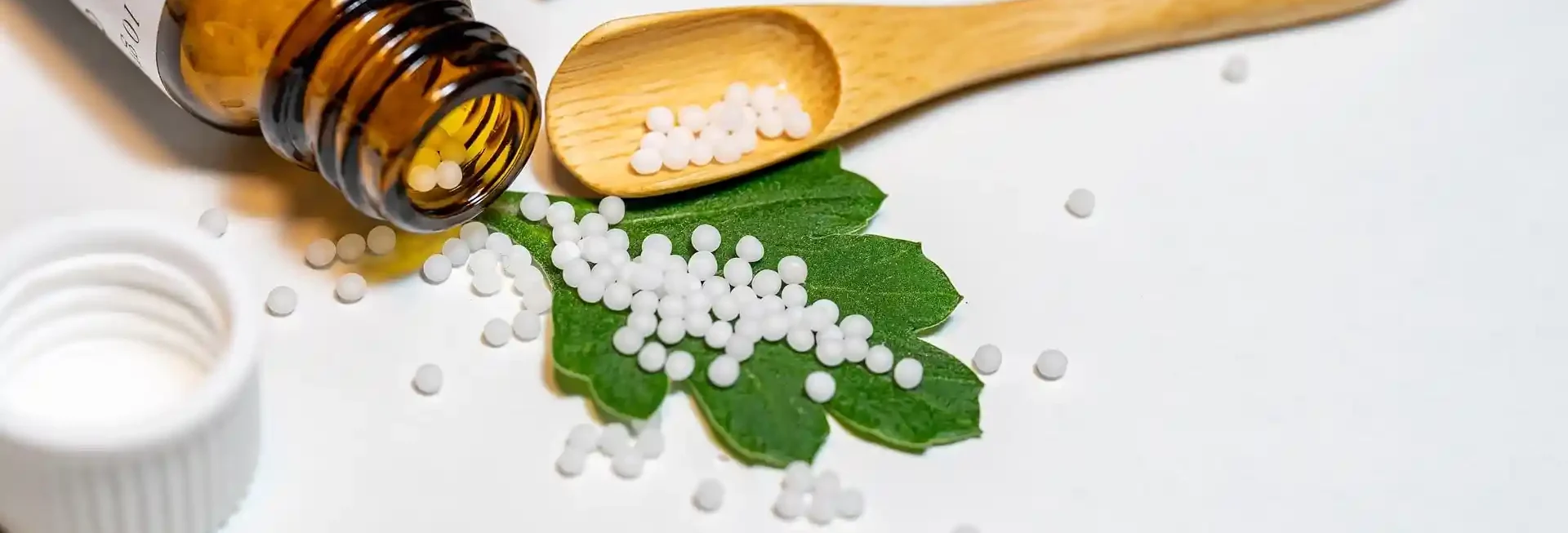 Sepia oder Lachesis richtig auswählen