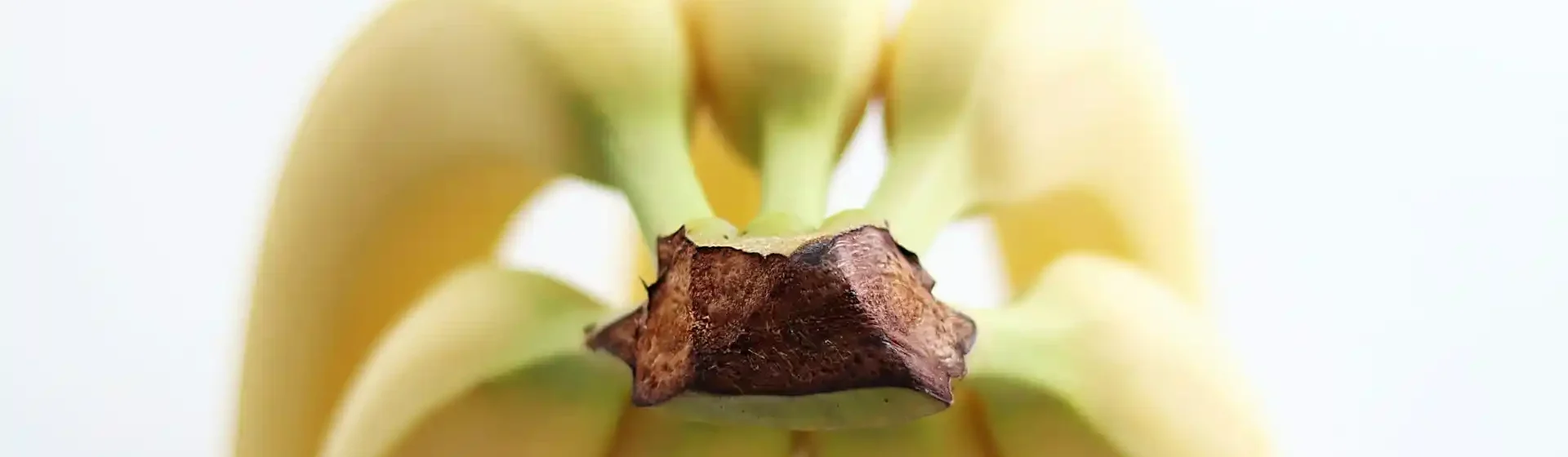 Obst: Magnesium Tabelle