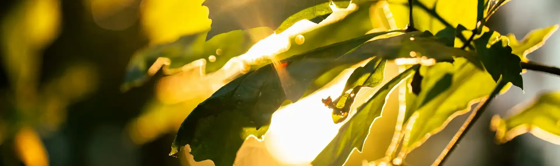 Was ist MBSR Meditation?